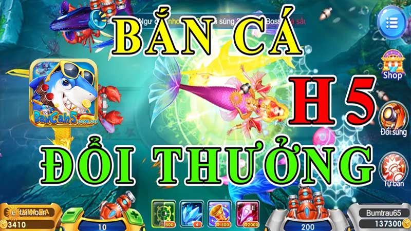 Những lưu ý khi nhận Code Bancah5